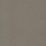 FC26 Alpaca hele plaat