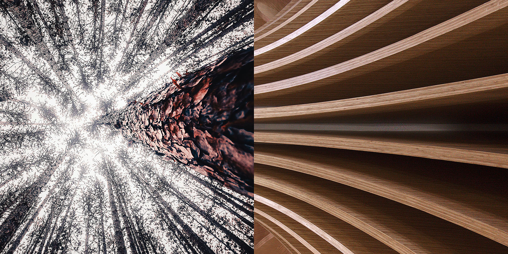 FSC Certificering DecoLegno