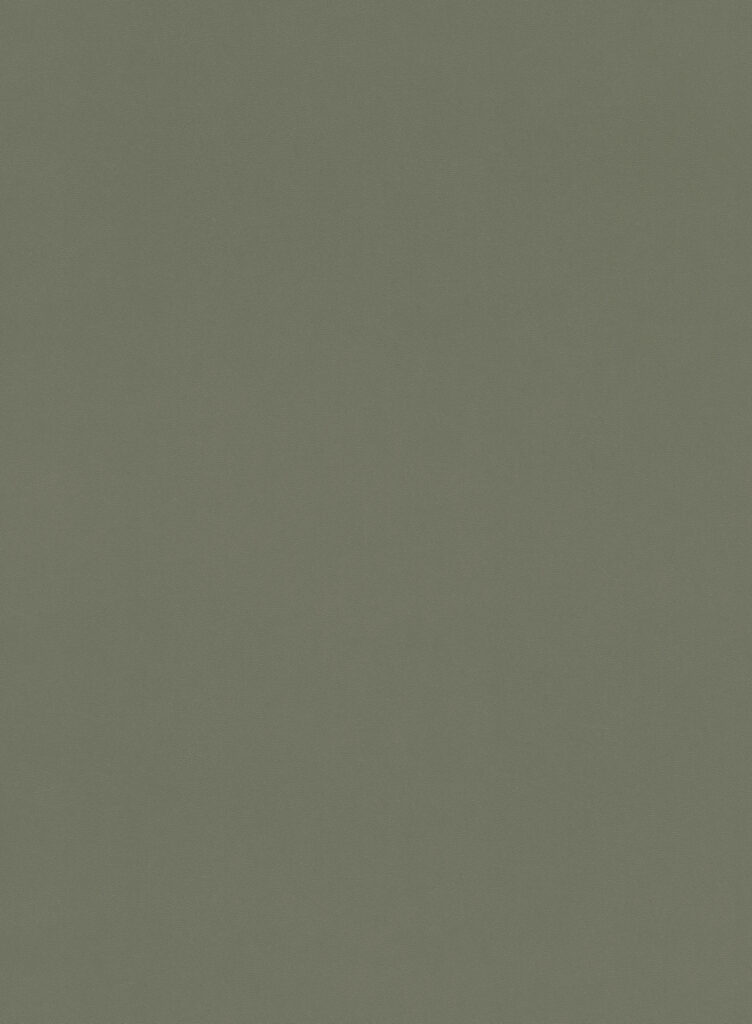 product Decoratief plaatmateriaal groen met leerstructuur