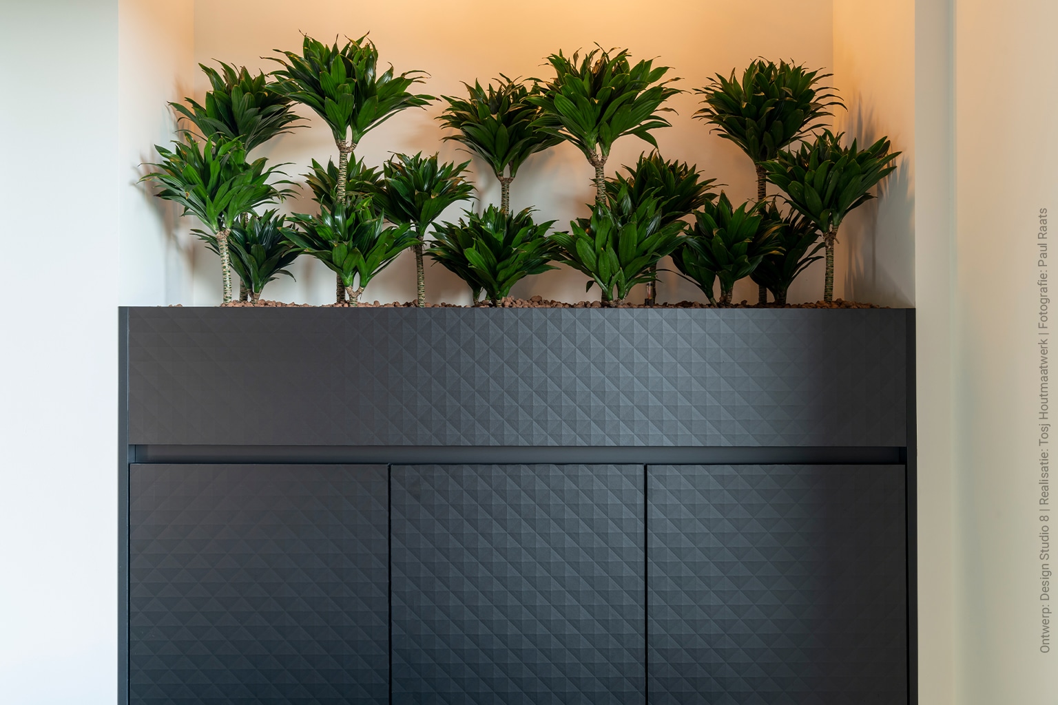 Plantenbak met 3d effect U129 Cheope