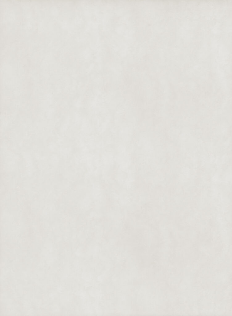 product Hele plaatafbeelding