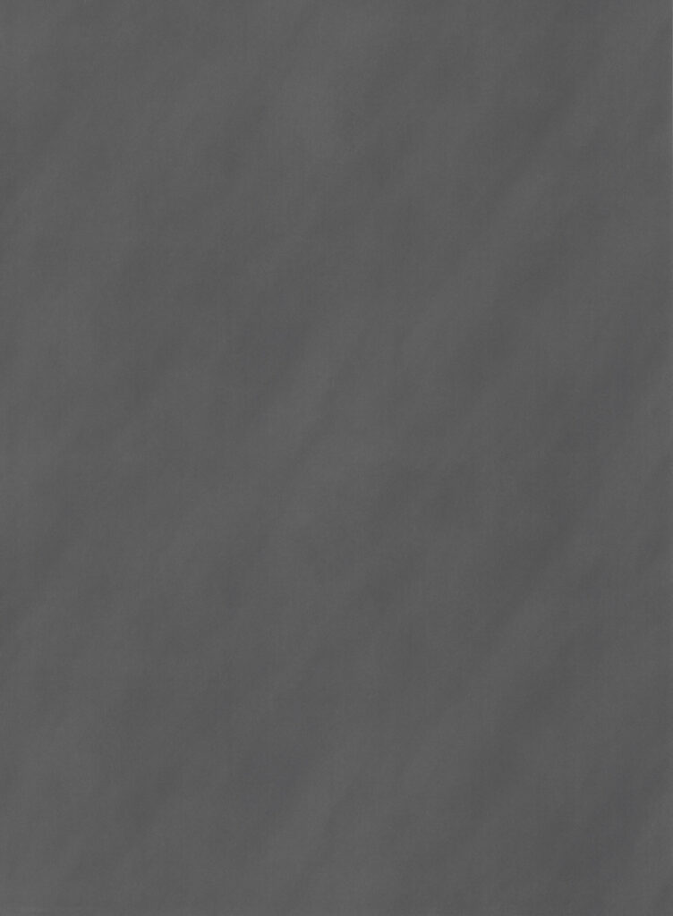 product DecoLegno FC91 Concreta Hele plaat afbeelding