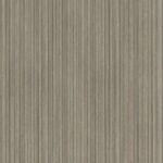 S210 Tolda hele plaatafbeelding