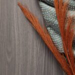 S212 Corteccia met stof van Loggere Wilpower