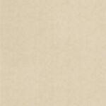 Hele plaatafbeelding UB20 Ares van Cleaf, decoratief plaatmateriaal met vanillekleurige natuursteenstructuur