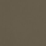 Detailafbeelding van decoratief plaatmateriaal met een moerasgroene natuursteenlook, de FD38 Taranta van Cleaf.