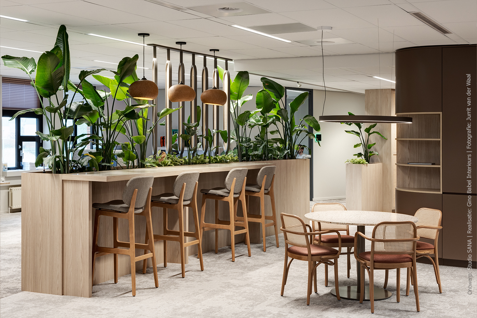 Blond houtdecor brengt rust en harmonie in kantoorinterieur