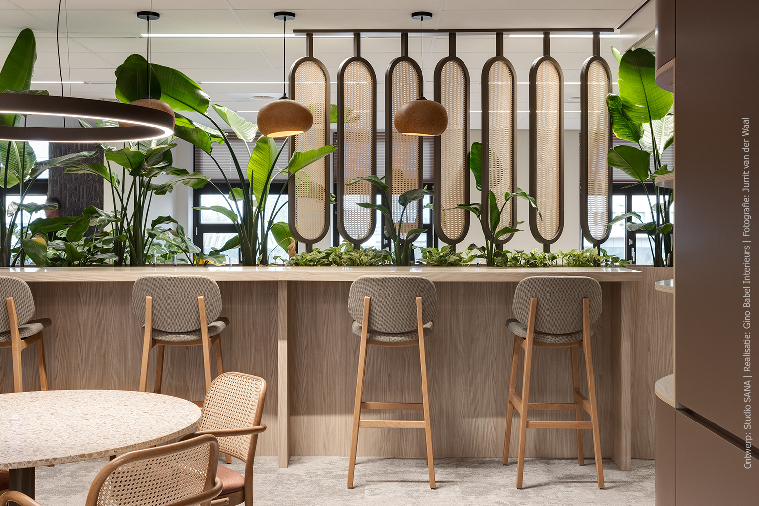 Hoge kantoortafel met geïntegreerde plantenbak in blond houtdecor S164 Fronda